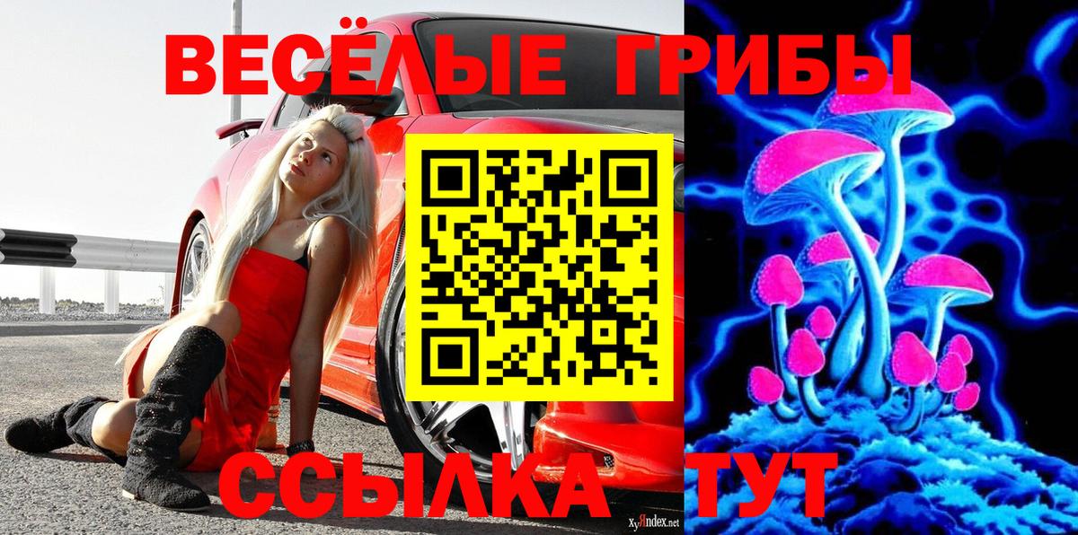 Псилоцибиновые грибы Psilocybe Якутск