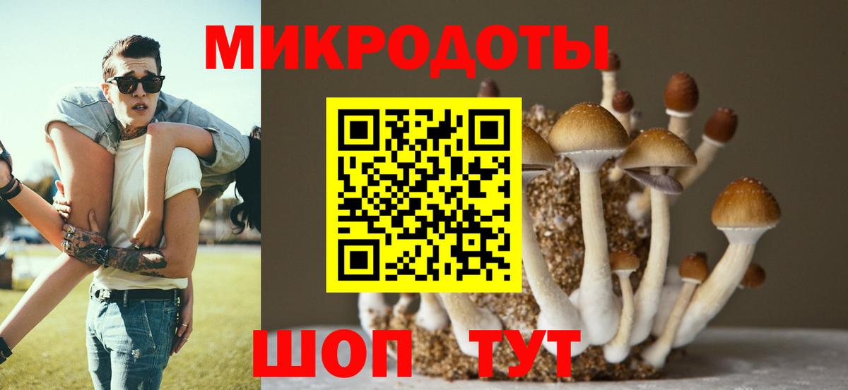 Якутск  Галлюциногенные грибы мицелий  Вход с VPN  Псилоцибиновые грибы ЛСД 